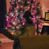 Dawn Gallant-Leblanc - @dawn.gallantlebla - TikTok