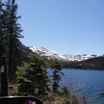Dawn Galloway - @gallowaydawn - Instagram