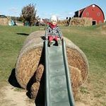 Dawn Garvey - @garveydawn - Instagram