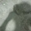 Dawn Garza - @dawn.garza1 - TikTok
