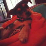 dawn garza - @garzadawn62 - Instagram