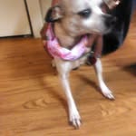 Garza Sunshy Rocky - @dawngarza720 - Instagram