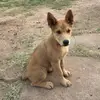 dawngentry14 - @dawngentry14 - TikTok