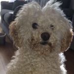 Dawn Mccarthy-Gosnell - @dawngosnell - Instagram
