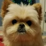 Dawn Grammer Callender - @rayfan52 - Instagram