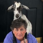 Dawn Griffis Slocumb - @slocumbdg - Instagram