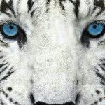 Dawn Gulick - @dawn0611.69 - Instagram