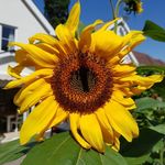 Dawn Gunn - @dawngunn16 - Instagram