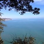 Dawn Gunn - @dawn.gunn1 - Instagram