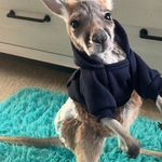 Dawn McClard - @dawn.guyer1 - Instagram