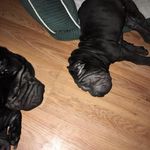 Dawn Hagan - @dmhagan319 - Instagram