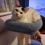Dawn Hagan - @dawn.hagan1 - Instagram