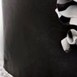 Dawn Hagan - @hagayd200 - Instagram