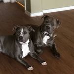 Dawn Halstead - @dawn.halstead.547 - Instagram