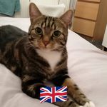Dawn Hamilton - @dawn.hamilton.37625 - Instagram