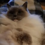 Dawn Hamilton - @dawn.hamilton.dh38 - Instagram