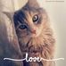 Dawn Hamilton - Facebook