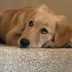 Dawn - @dawn_hamm - Instagram