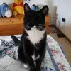 dawnhanson1964 - @dawnhanson1964 - TikTok