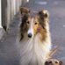 Dawn Hatcher - Facebook