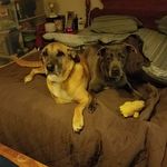 Dawn Hatcher Earp - @dawnearp - Instagram