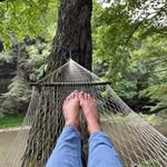 Dawn Hawk - @morningbird08 - Instagram