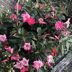 Dawn Hawk - @tdhawk95 - Instagram