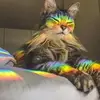 Dawn Hawks - @dawn.hawks - TikTok