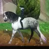 marianadawnhawk - @mariana_dawnhawk_sso - TikTok