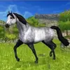❤Seuraan Takas❤ - @official.dawnhawk - TikTok