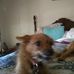 Dawn Head - Facebook