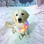 Dawn Healy - @dmh479 - Instagram