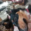 Dawn Healy - @dawn.healy81 - TikTok