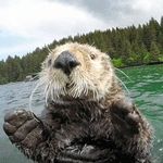Dawn Heck - @joeanddawnheck - Instagram