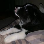 Dawn Heck - @jakeandjunebug - Instagram