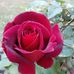 Dawn Heck - Facebook