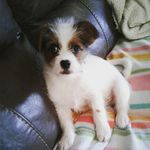 Dawn Heck - @dmrstevens - Instagram