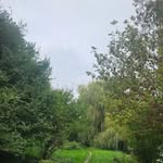 Dawn High - @dawnhigh5 - Instagram