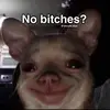 Dawn_High - @dawn_high - TikTok
