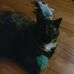 Dawn Houle - Facebook