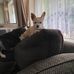 Dawn Holmes - Facebook