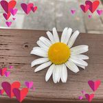 Dawn Holt - @dawn_holt_ - Instagram