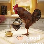Dawn Huggins - Facebook