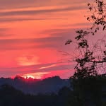 Dawn Huggins Wood - @dawnhugginswood - Instagram