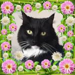 Dawn Hurst - @dawn.hurst.5 - Instagram