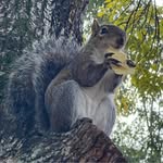 Dawn Huskey - @dizzy3675 - Instagram