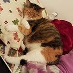 Dawn Irvin Wells - @dawn.wells67spring - Instagram