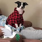 Dawn Jameson - Facebook