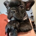 Jameson Dawn - @jamesondawn - Instagram