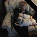 Dawn Jamison - Facebook